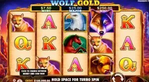 Skärmbild från Wolf Gold slot